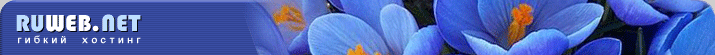 RuWeb.net -     