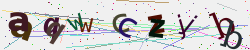 �������� �������� Captcha