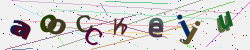 �������� �������� Captcha