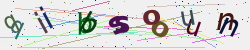 �������� �������� Captcha