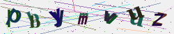 �������� �������� Captcha