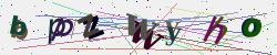 �������� �������� Captcha