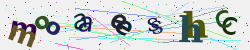 �������� �������� Captcha