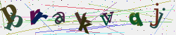 �������� �������� Captcha