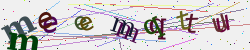 �������� �������� Captcha