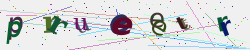 �������� �������� Captcha