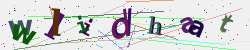 �������� �������� Captcha