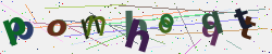 �������� �������� Captcha
