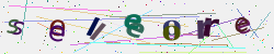 �������� �������� Captcha