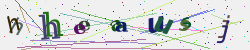�������� �������� Captcha