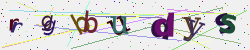 �������� �������� Captcha