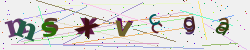�������� �������� Captcha