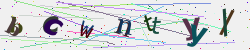 �������� �������� Captcha