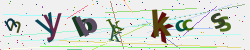 �������� �������� Captcha