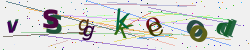 �������� �������� Captcha