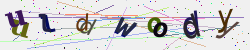 �������� �������� Captcha