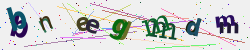 �������� �������� Captcha