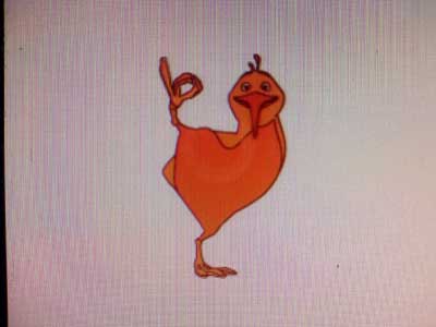 osmp_kiwi.jpg - 8.52kb